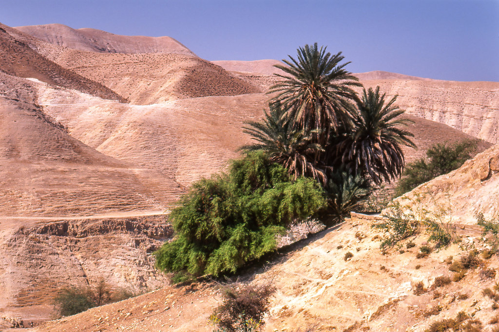 Descending from Jerusalem to Jericho, Israel